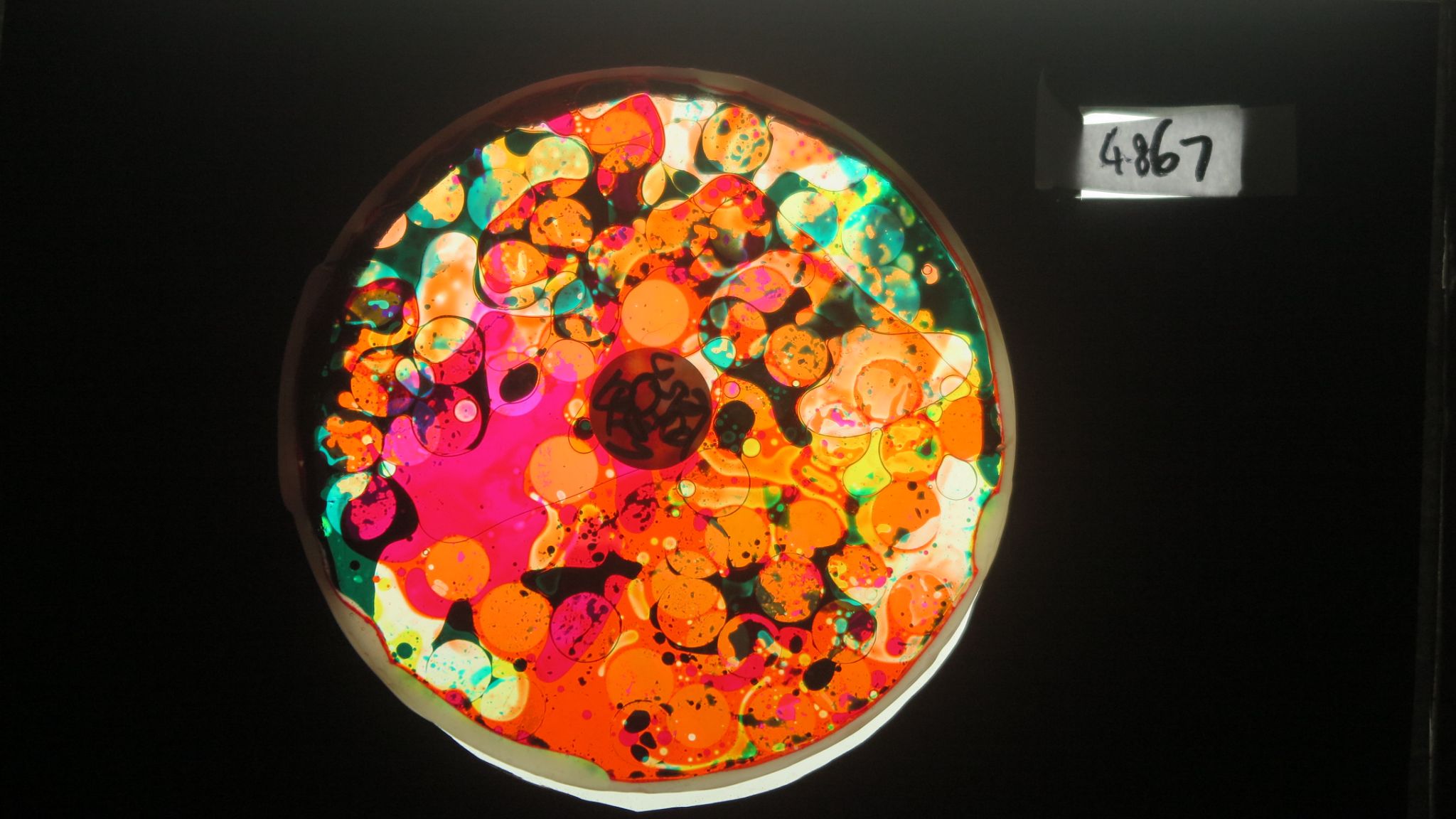 BV4867 bubble vision oil wheel